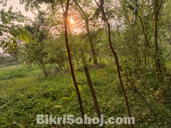 জমি বিক্রি করা হবে ১ একর ৪২ শতাংশ